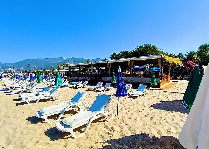 Kleopatra 3* Аланія